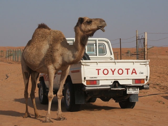 Buy Toyota Shares