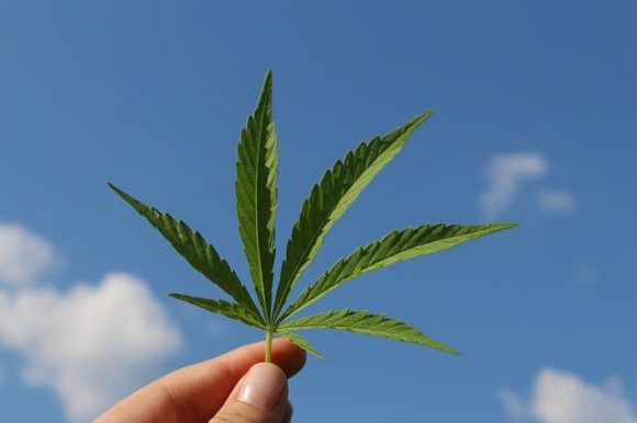  اسهم Tilray
